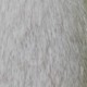 La couleur du ventre : blanc légèrement tiqueté gris