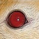 Les yeux : rubis