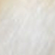 La couleur du ventre : blanc crème