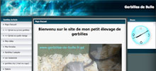 Les gerbilles de Bulle
