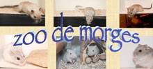 Zoo de Morges