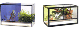 Terrarium