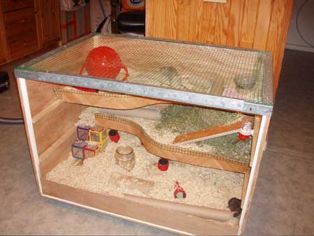 Cage en bois